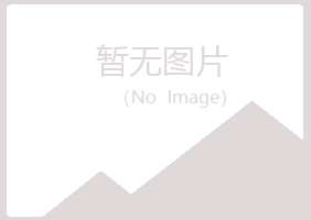 田东县青曼培训有限公司